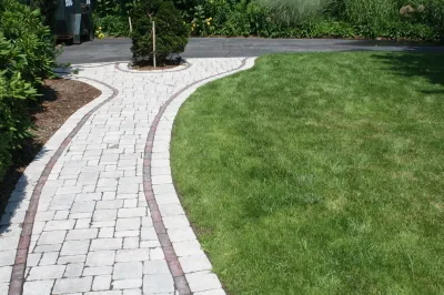 Dragonfly Ponds & Patios LLC - Tree Planting & Transplanting in Sterling, MA