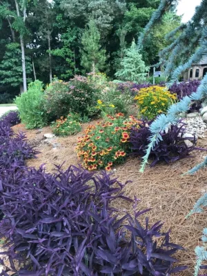 Jose Santos Landscaping - Tree & Shrub Care in Charlotte, NC
