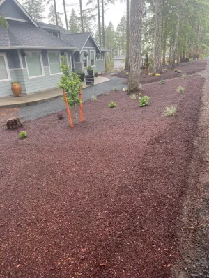 DREAMSCAPES Landscape and Design - Drip Irrigation System Installation in Bothell, WA