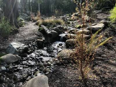 DREAMSCAPES Landscape and Design - Drip Irrigation System Installation in Bothell, WA