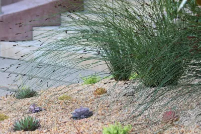 Boxleaf Design, Inc. - Garden Remodeling in Redwood City, CA