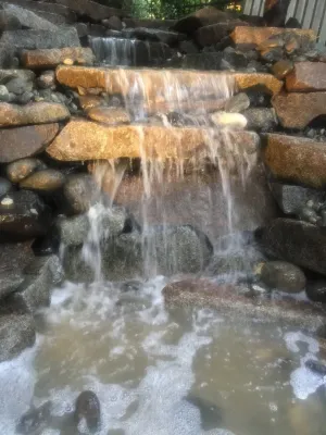 DREAMSCAPES Landscape and Design - Drip Irrigation System Installation in Bothell, WA