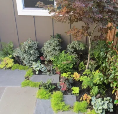 Boxleaf Design, Inc. - Garden Remodeling in Redwood City, CA