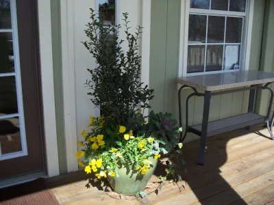 Containers — Landscape Construction project by Dreamscapes LLC