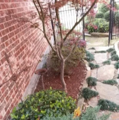 Dehart Landscape Installation — Landscape Construction project by Dreamscapes LLC