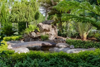 Dreamscapes Outdoor Living & Design - Garden Remodeling in Lakeland, FL