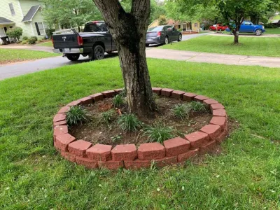 Jose Santos Landscaping - Tree & Shrub Care in Charlotte, NC
