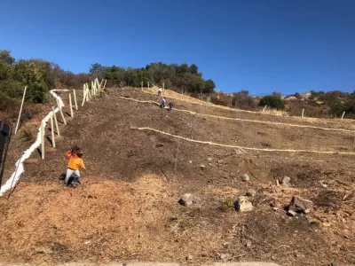 Wine Vineyards — Landscape Construction project by Drip DTS Design And Build in Malibu