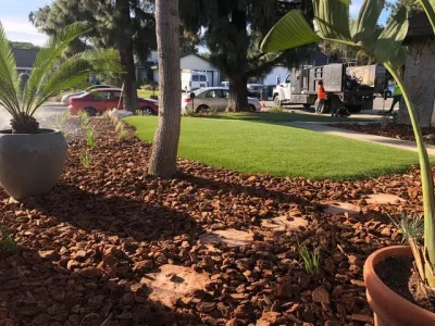 Grass Area — Landscape Construction project by Drip DTS Design And Build