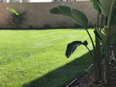 Drip DTS Design and Build - Sprinkler Installation & Repair in Rancho Cucamonga, CA