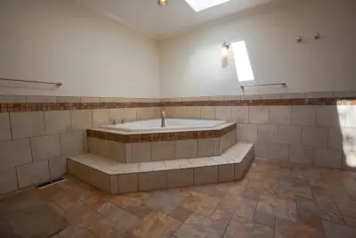 Steele Luxury Bathroom — Kitchen Remodeling project by Vogel Home Improvement