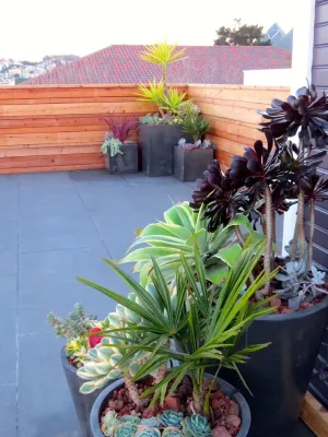 Duviv Gardens Inc. - Garden Remodeling in Truckee, CA