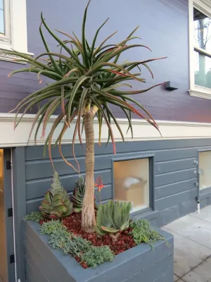 Duviv Gardens Inc. - Garden Remodeling in Truckee, CA