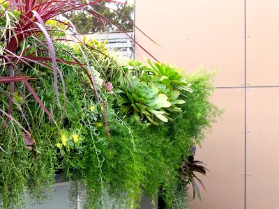Duviv Gardens Inc. - Garden Remodeling in Truckee, CA