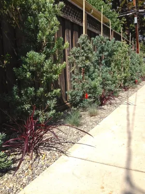 Duviv Gardens Inc. - Garden Remodeling in Truckee, CA