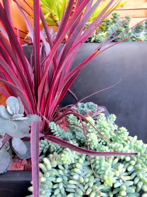 Duviv Gardens Inc. - Garden Remodeling in Truckee, CA