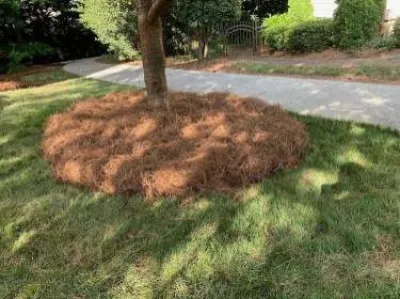 Jose Santos Landscaping - Tree & Shrub Care in Charlotte, NC