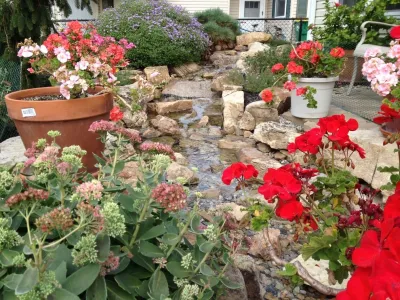 Dog Friendly Landscape by Eagleson Landscape Co.