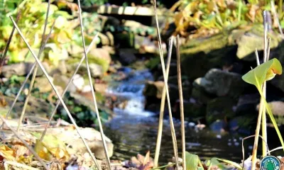 The Lifecycle of Landscape Designs by Eagleson Landscape Co.