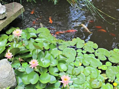 Ponds by Eagleson Landscape Co.