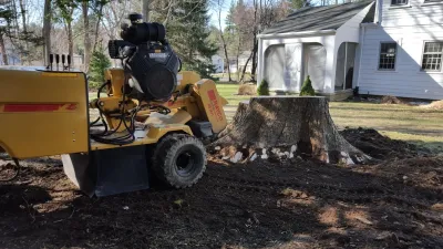 Stump Grinding — Landscape Construction project by Earth Dynamics Of New England in Hampton