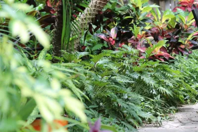 Earthscapes Garden Room - Garden Remodeling in Palm Harbor, FL