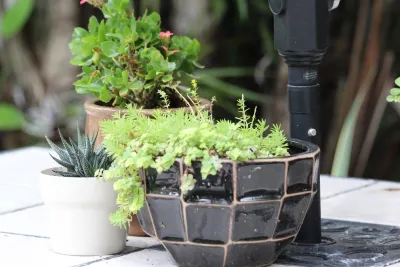 Earthscapes Garden Room - Garden Remodeling in Palm Harbor, FL