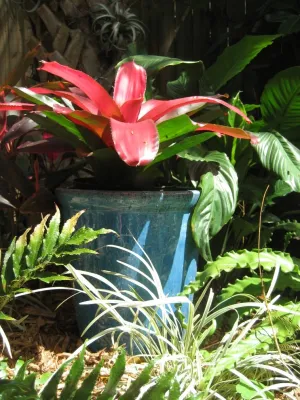 Earthscapes Garden Room - Garden Remodeling in Palm Harbor, FL