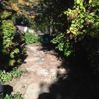 Keep'n Up Appearances - Seasonal Yard Cleaning in Boston, MA