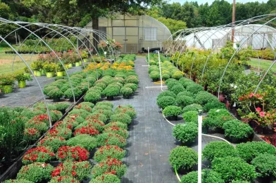 Eastern Shore Nurseries Inc - Landscape Construction in Easton, MD