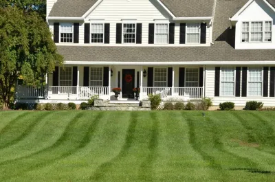 Easy To Green Landscaping - Tree & Shrub Care in Davidsonville, MD