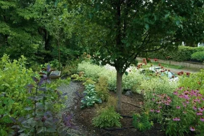 EcoLandscapes Design - Drip Irrigation System Installation in West Conshohocken, PA
