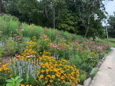 EcoLandscapes Design - Drip Irrigation System Installation in West Conshohocken, PA