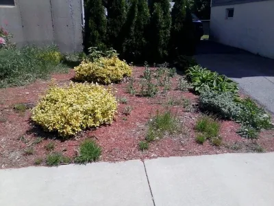 Keep'n Up Appearances - Seasonal Yard Cleaning in Boston, MA