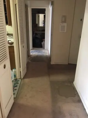Alanis Interiors - Flooring Installation Services in Chicago, IL