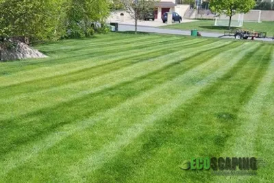 Ecoscaping Landscape & Construction - Seasonal Yard Cleaning in Lynn, MA