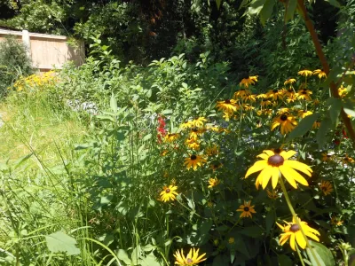 Bradford Associates, LLC - Garden Remodeling in Providence, RI