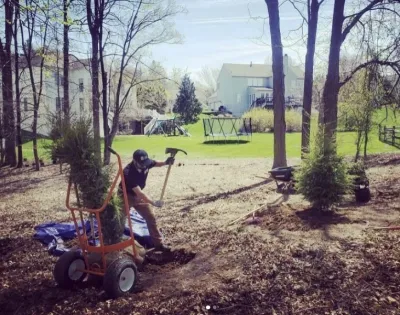 Brandywine Urban Forest - Landscape Design in West Chester, PA