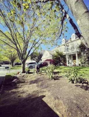 Brandywine Urban Forest - Landscape Design in West Chester, PA