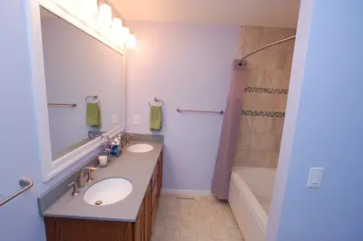 Distinct Flavor Bathroom Renovation - Midland, MI — Kitchen Remodeling project by Tri-City Remodeling & Nowak Cabinets