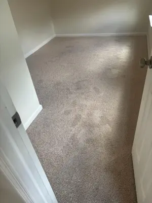 Vinyl Flooring — Kitchen Remodeling project by Moreno Painting & Remodeling Service