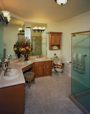 RIVER VIEW BATHROOM — Kitchen Remodeling project by Custom Design Construction & Interiors Inc.