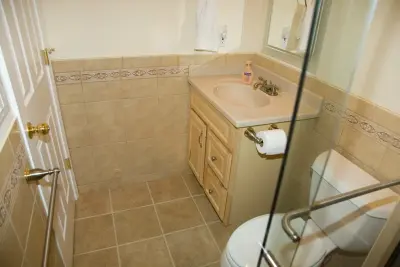 Vosikof Subterranean Bath — Kitchen Remodeling project by Vogel Home Improvement