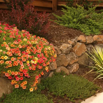 Elements Landscape Inc. - Sprinkler Installation & Repair in Menlo Park, CA