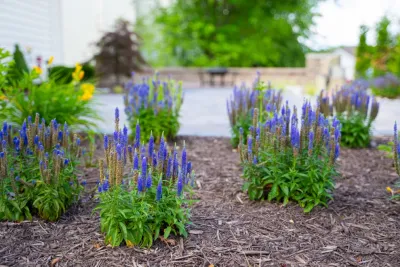 Elevate Outdoor - Garden Remodeling in O'Fallon, MO