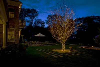 Elise Landscapes & Nursery, LLC - Landscape Design in New Canaan, CT