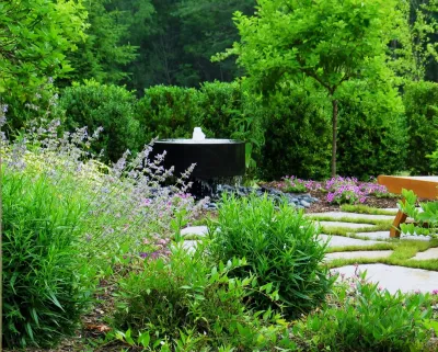 Elise Design Group--Outdoor Garden Oasis — Landscape Construction project by Elise Landscapes & Nursery, LLC