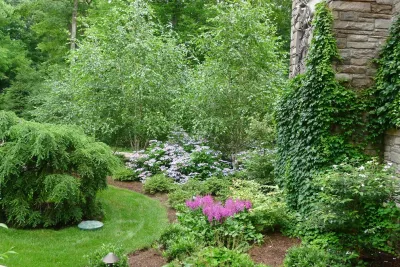 Elise Landscapes & Nursery, LLC - Landscape Design in New Canaan, CT