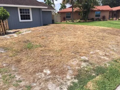 Elite Cuts Landscaping - Lawn Edging & Trimming in West Palm, FL