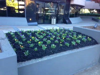 Elite Environments, LLC - Landscape Construction in Buford, GA